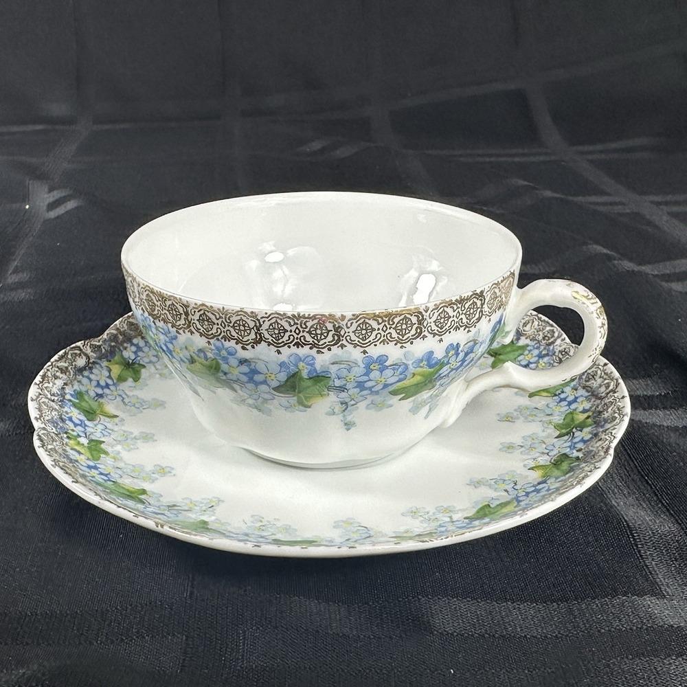 Forget-Me-Not Tea cup Saucer Translucent Fine Porcelain Gold Filigree Ivy ANTQ
